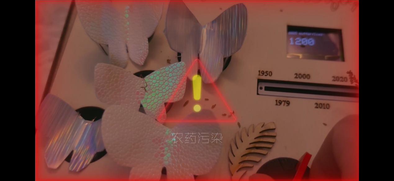 蝴蝶的回响-可视化生态交互装置