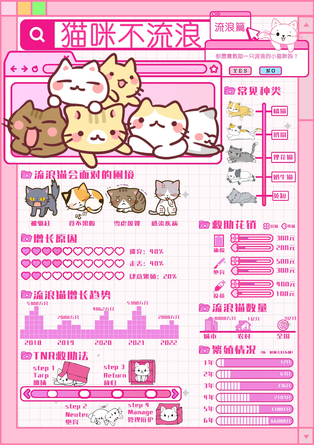 《猫咪不流浪》信息可视化设计