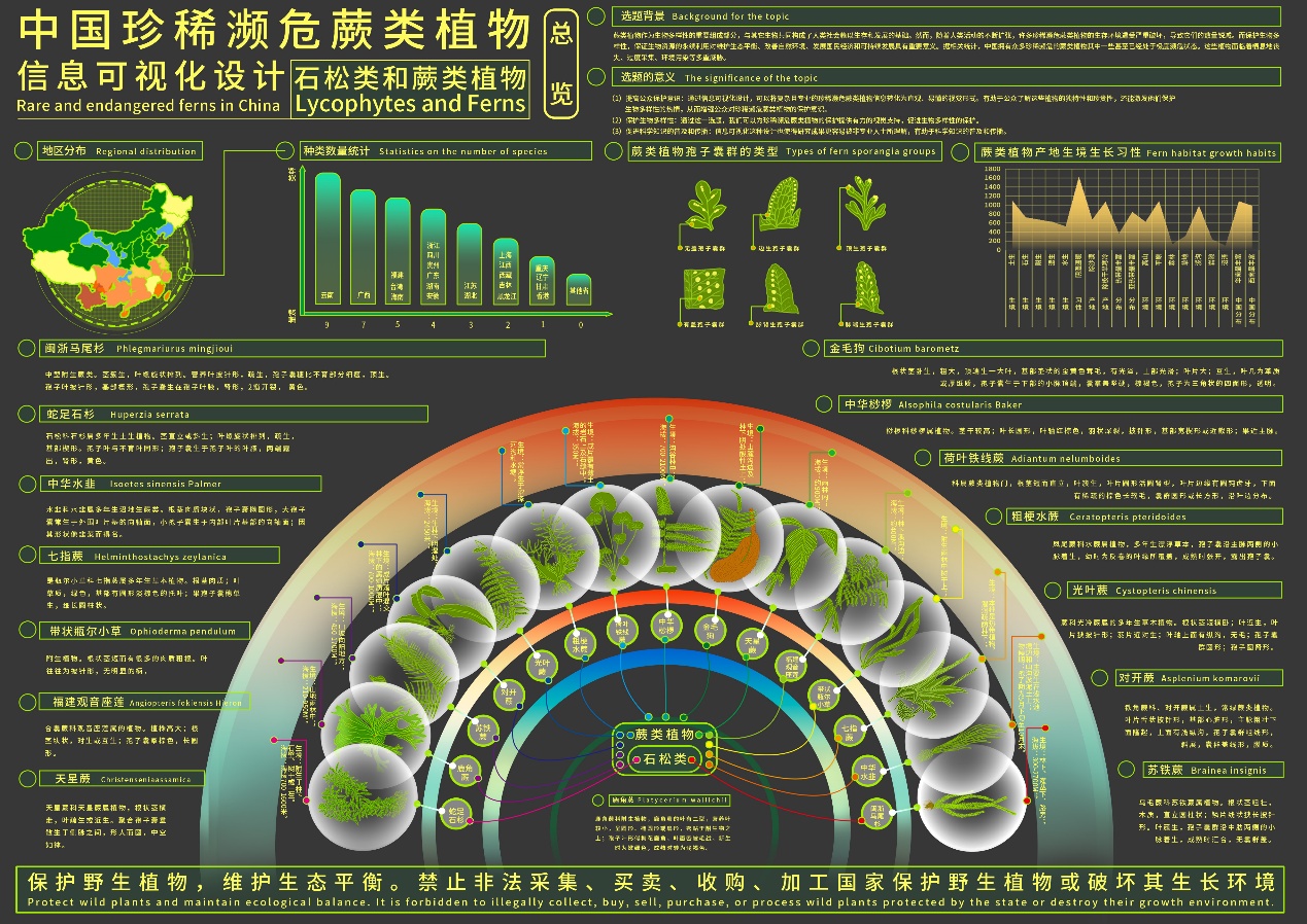 纳米蕨脉：中国珍稀濒危蕨类植物信息可视化设计
